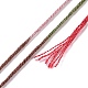 10かせ 6層ポリエステル刺繍フロス  クロスステッチの糸  セグメント染め  暗赤色  0.5mm  約8.75ヤード（8m）/かせ OCOR-K006-A17-3
