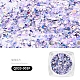 Nagelkunst-Glitter-Pailletten AJEW-Q033-003F-2