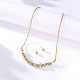 Ожерелье с подвеской и круглыми серьгами с амазонитовой крошкой и натуральными цветами RE2952-1-2
