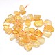 Natural Gemstone Citrine Beads Strands G-L157-04-3