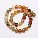 Natural Peacock Agate Beads Strands G-G444-12mm-02-2