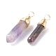 Natural Amethyst Double Terminated Pointed Pendants PALLOY-JF01211-01-2