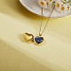 Heart with Rose Flower Picture Locket Pendant Necklace JN1036A-6