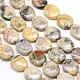 Oval Natural Carzy Agate Beads Strands G-P063-120-1
