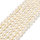Natural Cultured Freshwater Pearl Beads Strands PEAR-E016-168-1