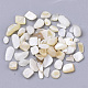 Freshwater Shell Beads SHEL-S266-11-2