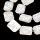 Placage de brins de perles de coquille d'eau douce naturelles SHEL-N026-223-3
