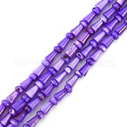 Нити бусин из натуральных пресноводных ракушек SHEL-G013-02F