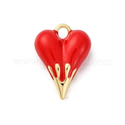 Латунь эмаль подвески KK-Q098-19G-B
