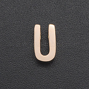 201 Anhänger aus Edelstahl STAS-R109-JA433-U-3