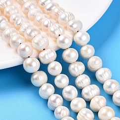 Brins de perles de culture d'eau douce naturelles, pomme de terre, blanc crème, 9~10.5x8~13.5mm, Trou: 1~1.2mm, Environ 36~37 pcs/chapelet, 13.39~13.78 pouce (34~35 cm)