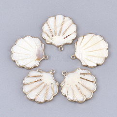Colgantes de concha de agua dulce, con fornituras de hierro, cáscara, la luz de oro, 31~31.5x28~29x3mm, agujero: 1.8 mm