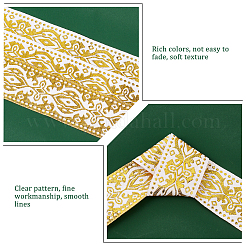 Rubans gros-grain en polyester de style ethnique&nbsp;OCOR-PH0001-53