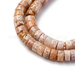 Chapelets de perles en agate naturelle de fleurs de cerisier&nbsp;G-Z006-C48
