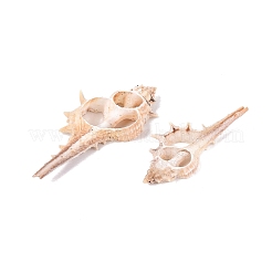 Natürlichen Shell große Anhänger&nbsp;SSHEL-N042-21
