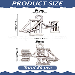 50 pièces pendentifs en alliage de style tibétain&nbsp;TIBEP-LP0001-13