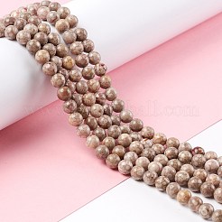 Chapelets de perles maifanite/maifan naturel pierre &nbsp;G-P451-01B-B