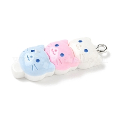 Pendentifs en résine à thème animalier&nbsp;RESI-V005-001D