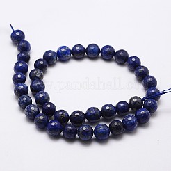 Natürlicher Lapislazuli Perlenstränge&nbsp;G-D840-38-6mm