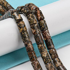 Natürliche Leopardenhaut Jaspisperlenstränge&nbsp;G-Q1008-A06