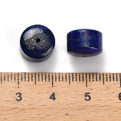 Natürliche Lapislazuli-Perlen&nbsp;G-K403-08-10x12mm