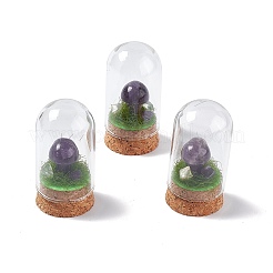 Naturstein-Pilz-Display-Dekoration mit Glaskuppel-Cloche-Abdeckung&nbsp;G-E588-03