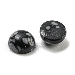 Synthetische Schneeflocken-Obsidian-Cabochons&nbsp;G-H309-03-04