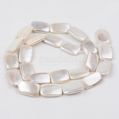 Galvanoplastie des brins de perles de coquille d'eau douce naturelle&nbsp;SHEL-R049-027C