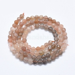 Fili di perline multi-moonstone naturali&nbsp;G-D0013-44