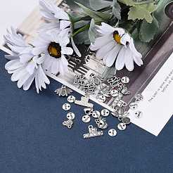 Tibetischer stil Aluminium Anhänger & Charms&nbsp;TIBEP-X0005-01-AS