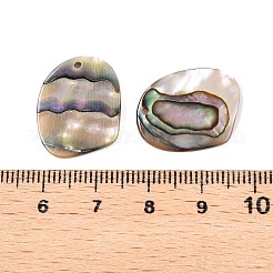 Natur Paua Muschel Anhänger&nbsp;X-SHEL-T020-11A
