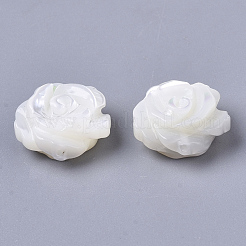 Concha de troquido natural / cuentas de concha de troco&nbsp;SSHEL-N034-40B-01