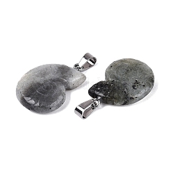 Ciondoli labradorite naturale&nbsp;G-Q601-45B