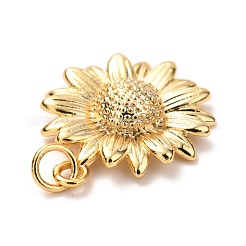 Messing Anhänger & Charms&nbsp;KK-G399-27