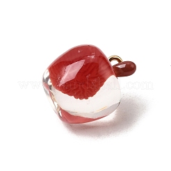 Colgantes de resina transparente&nbsp;FIND-H021-05G