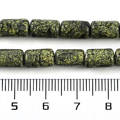 Natürliche Serpentin / grüne Spitze Stein Perlen Stränge&nbsp;G-H064-B01-01