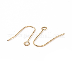 Ionenplattierung (IP) 316 Edelstahl Ohrringhaken&nbsp;STAS-C059-10G