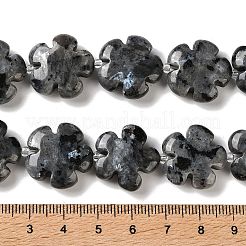 Natürliche Larvikit-Perlenstränge&nbsp;G-L241A-21