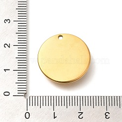 Pendentifs en strass en acier inoxydable 304 avec placage ionique (IP)&nbsp;STAS-I321-14G
