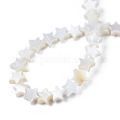Naturali di acqua dolce perline shell fili&nbsp;LS-SHEL-S278-01A-01