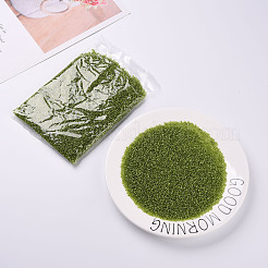 12/0 Perlas de semillas de vidrio&nbsp;SEED-A005-2mm-24
