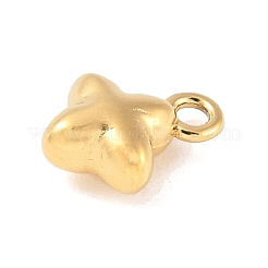 Anhänger aus 304 Edelstahl&nbsp;STAS-Q351-09G