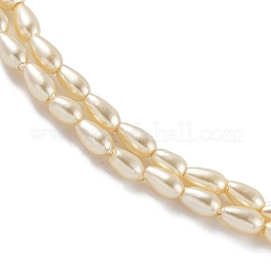 Perles de perles de coquillages polies&nbsp;BSHE-L042-A01-01
