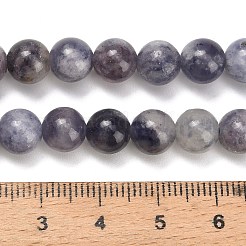 Perles naturelles Iolite brins&nbsp;X-G-G300-A04-8mm