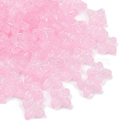 Smerigliato perline acriliche trasparenti&nbsp;OACR-P029-09B-01