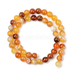 Naturperlen Stränge sardonyx&nbsp;G-S369-002C-B02