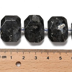 Natürliche Larvikit-Perlenstränge&nbsp;G-H078-B06-01