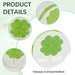Acryl Cabochons&nbsp;OACR-WH20008-02