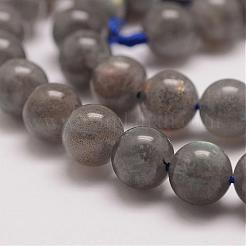 Chapelets de perles en labradorite naturelle&nbsp;G-P259-03-8mm