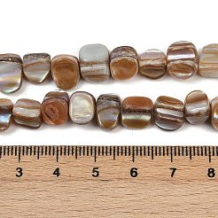 Natürliche Trochusmuschelperlenstränge&nbsp;BSHE-Q050-01B